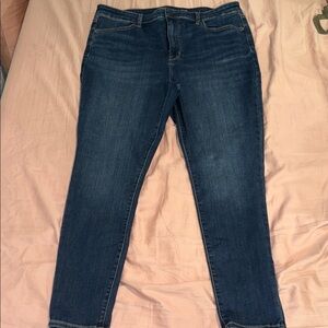 American Eagle Outfitters Dark Blue Ankle Jeans